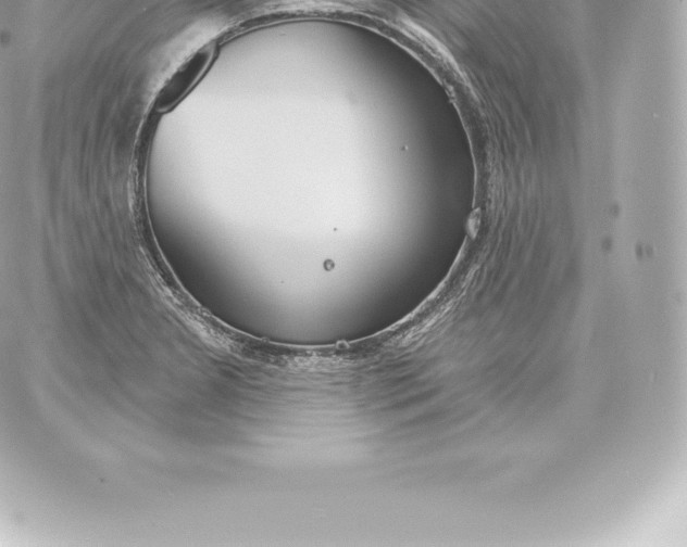 X0000060241277200511111920