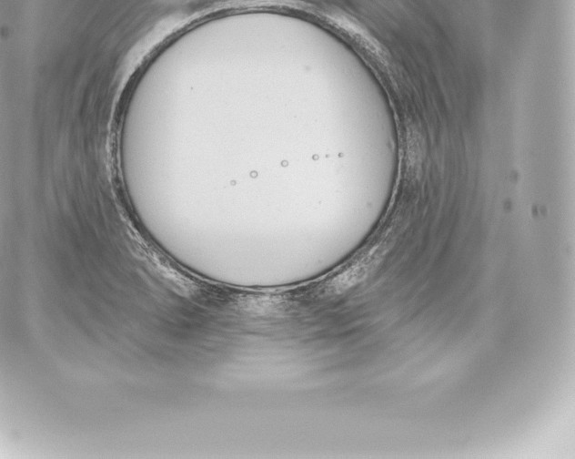 X0000060241278200511111920