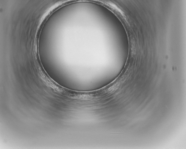 X0000060241280200511111920