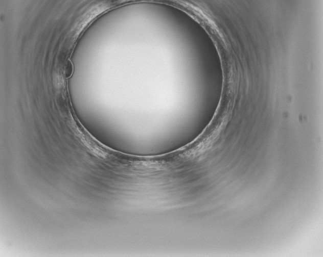 X0000060241281200511111920