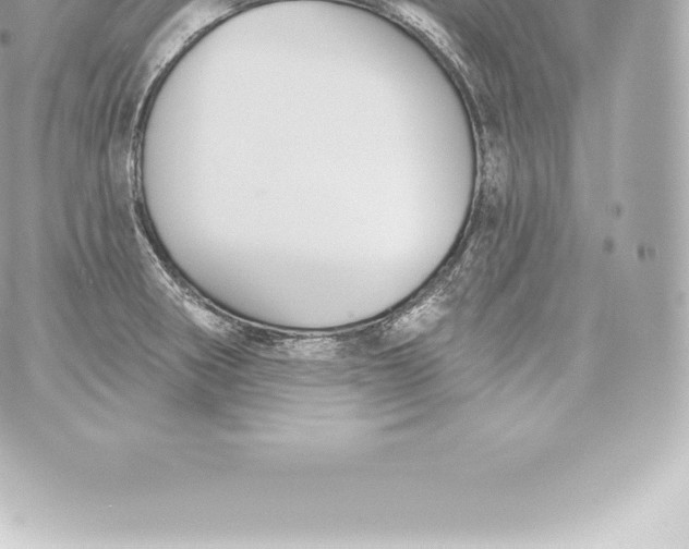 X0000060241282200511111920