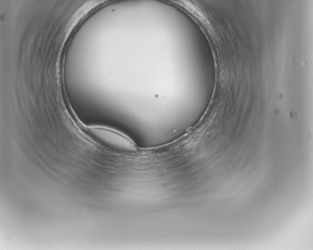 X0000060241283200511111920