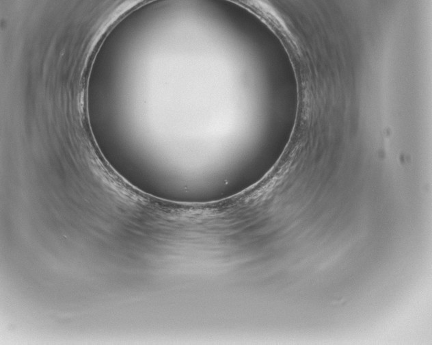 X0000060241284200511111920