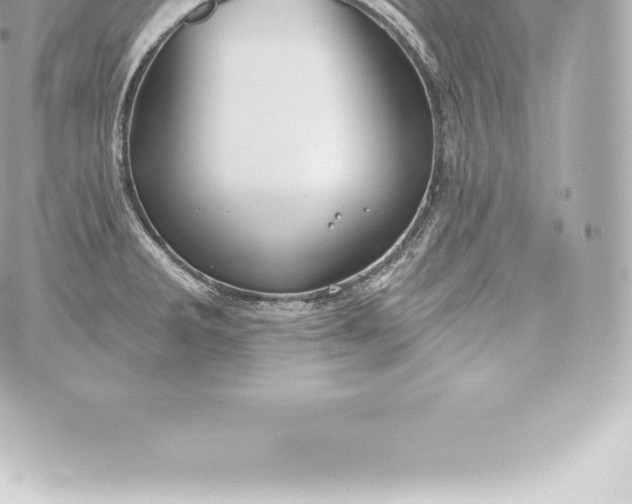 X0000060241285200511111920