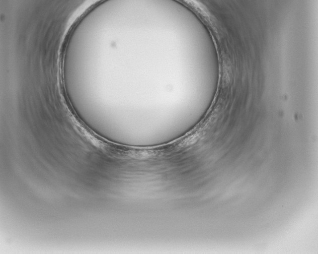 X0000060241286200511111920