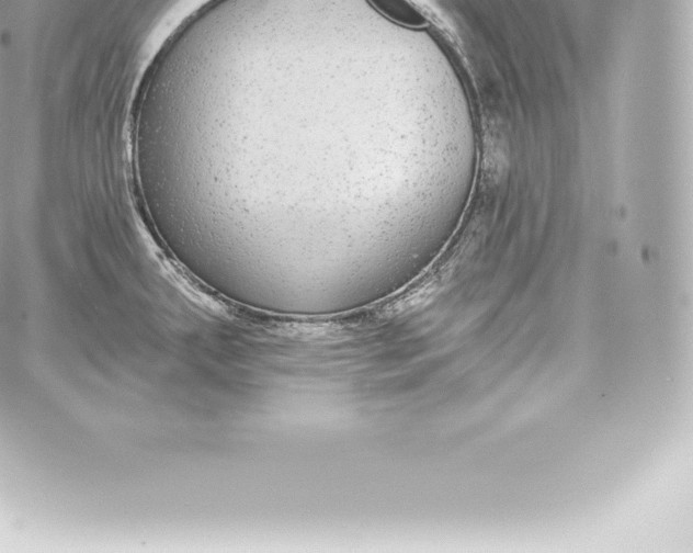 X0000060241287200511111920