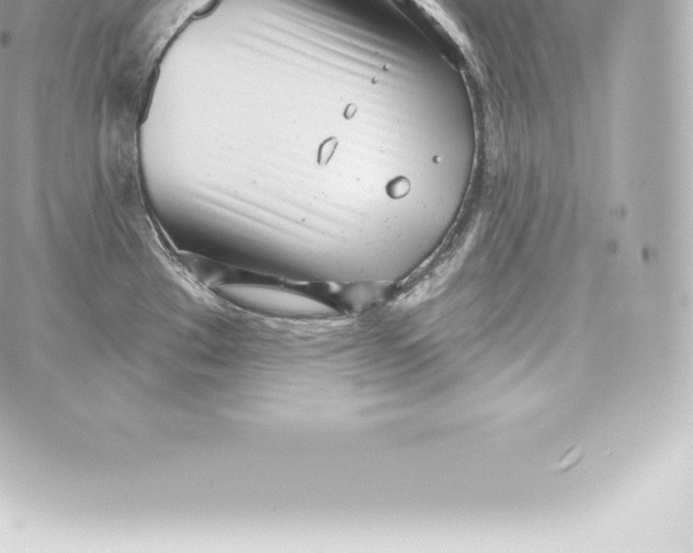 X0000060241289200511111920