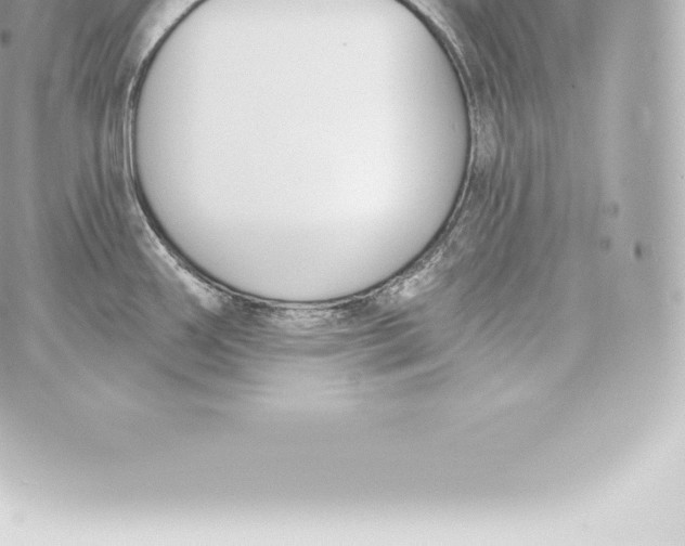 X0000060241290200511111920