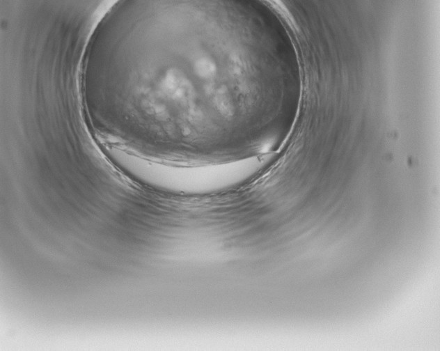 X0000060241291200511111920