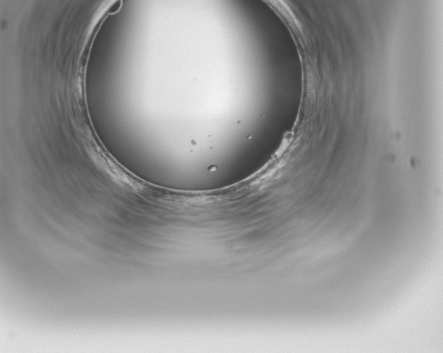 X0000060241292200511111920