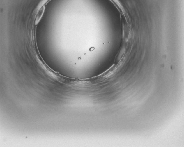 X0000060241293200511111920