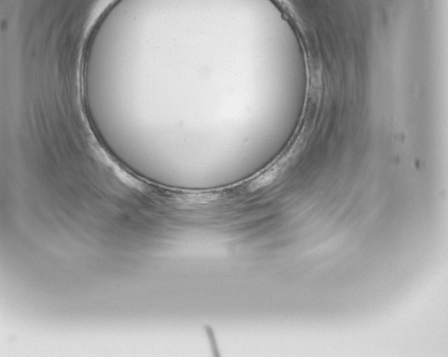 X0000060241294200511111920