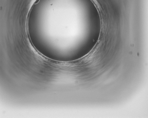 X0000060241295200511111920