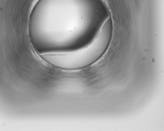 X0000060241296200511111920