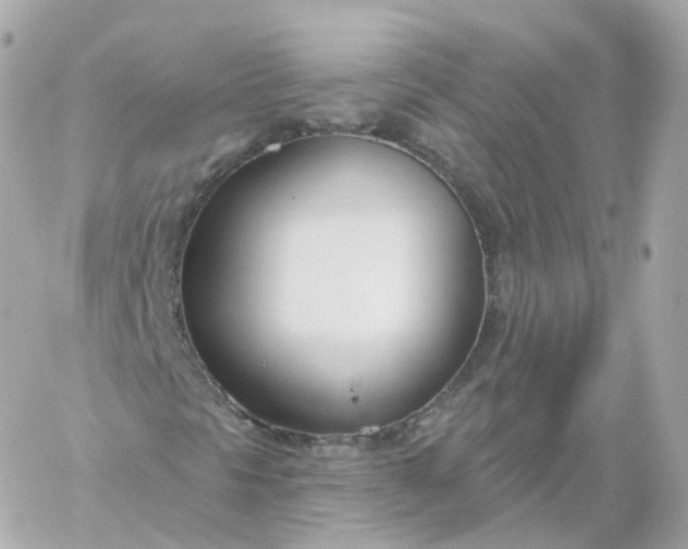 X0000060241297200511111919