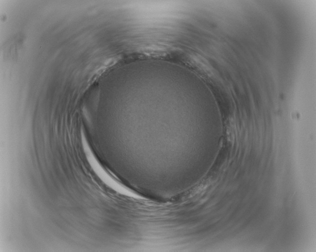 X0000060241298200511111919