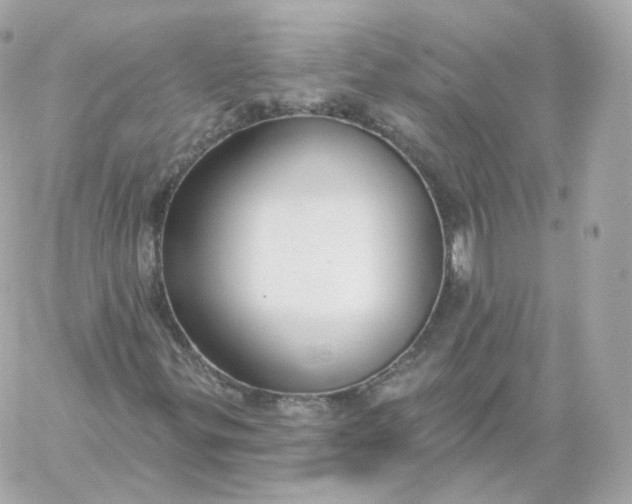 X0000060241299200511111919