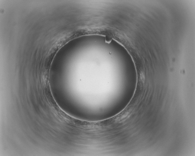 X0000060241300200511111919