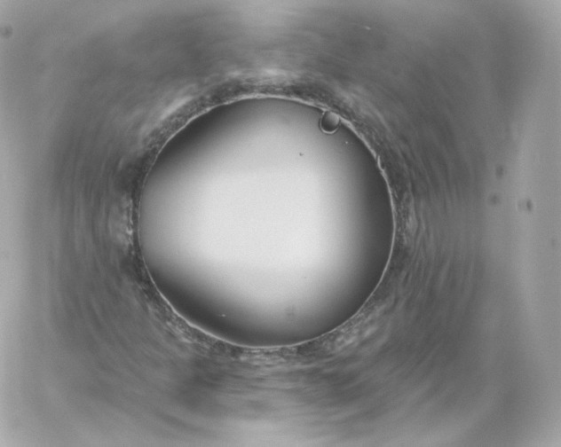 X0000060241301200511111919