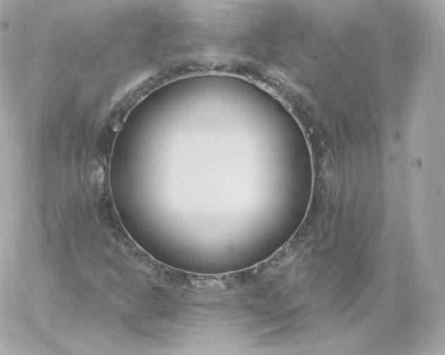 X0000060241302200511111919