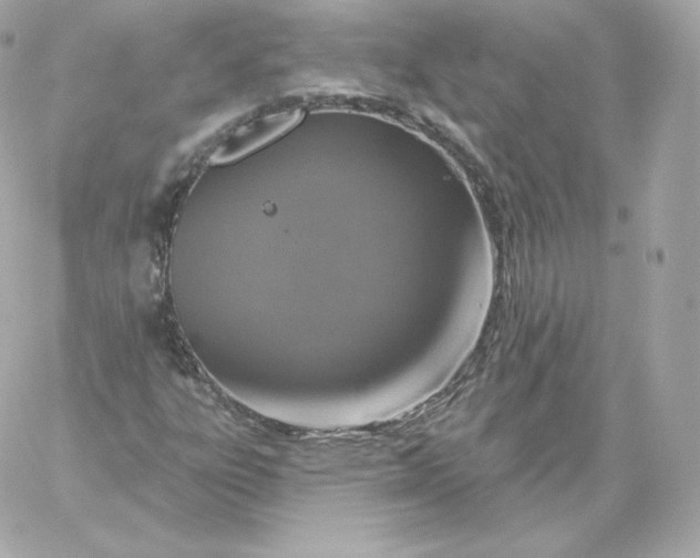 X0000060241303200511111919