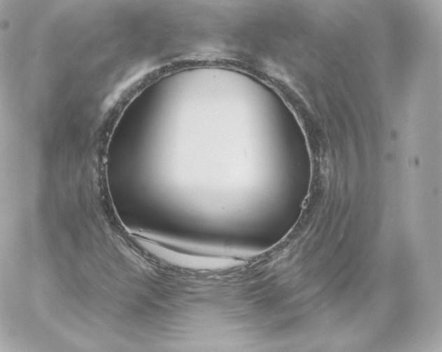 X0000060241304200511111919