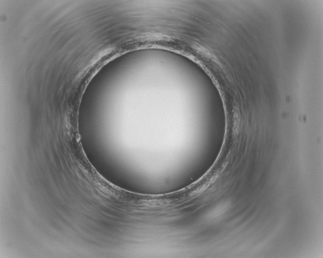 X0000060241305200511111919