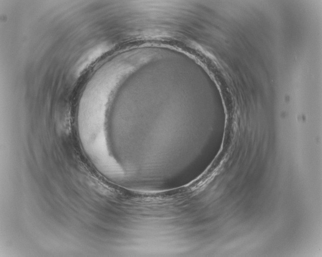 X0000060241306200511111919