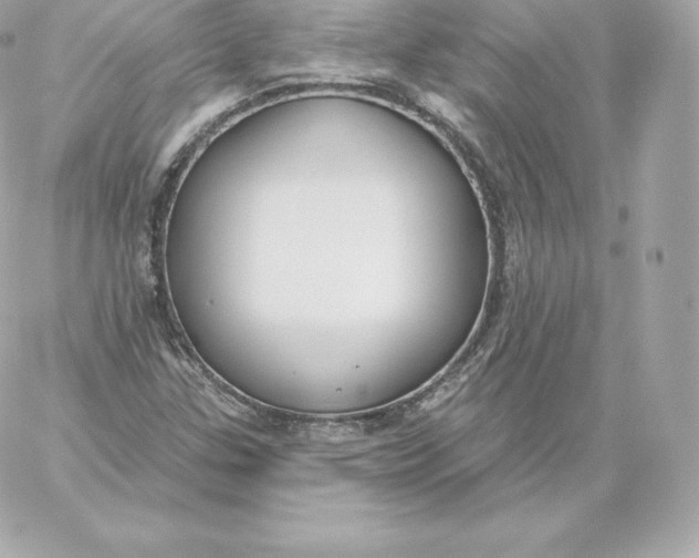 X0000060241307200511111919