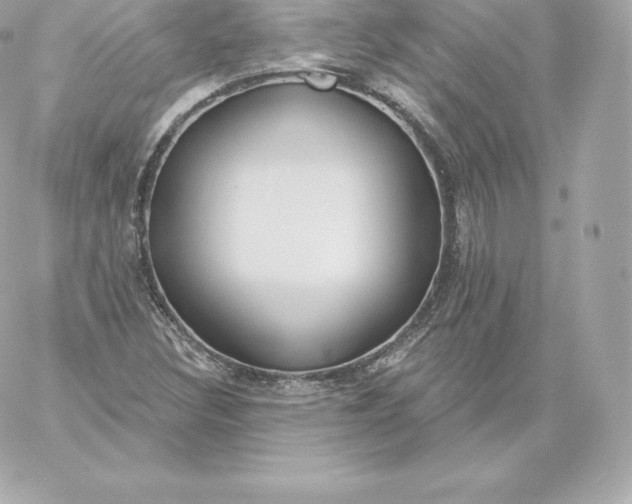 X0000060241308200511111919