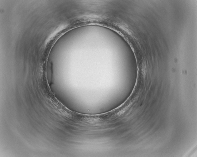 X0000060241309200511111919