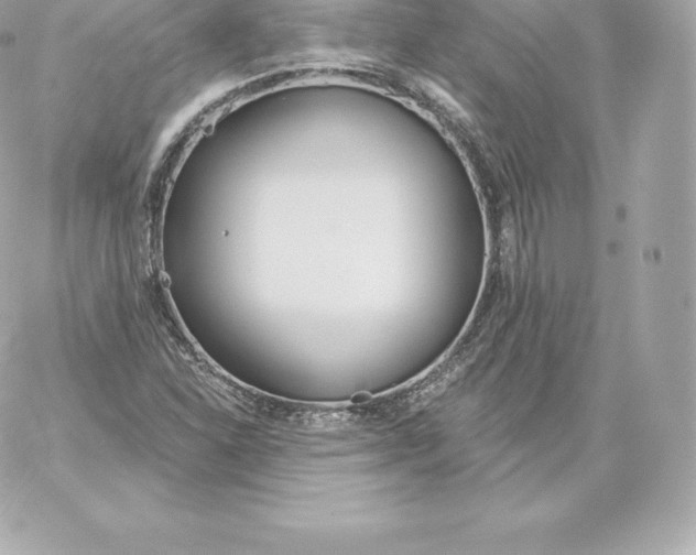 X0000060241310200511111919