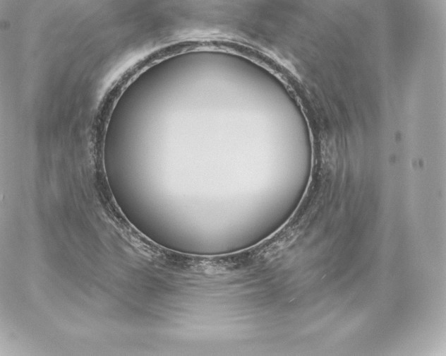 X0000060241311200511111919