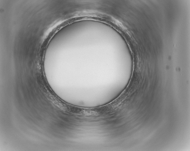 X0000060241312200511111919