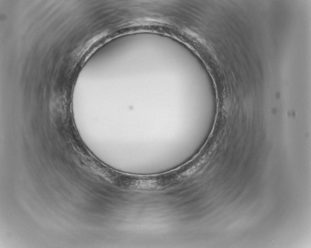 X0000060241313200511111919