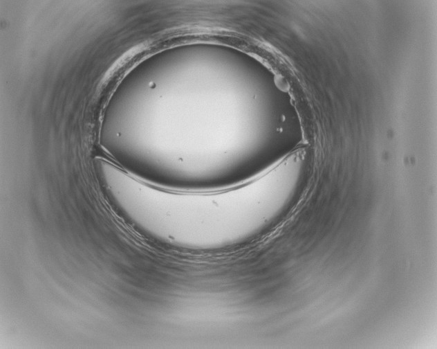 X0000060241314200511111919