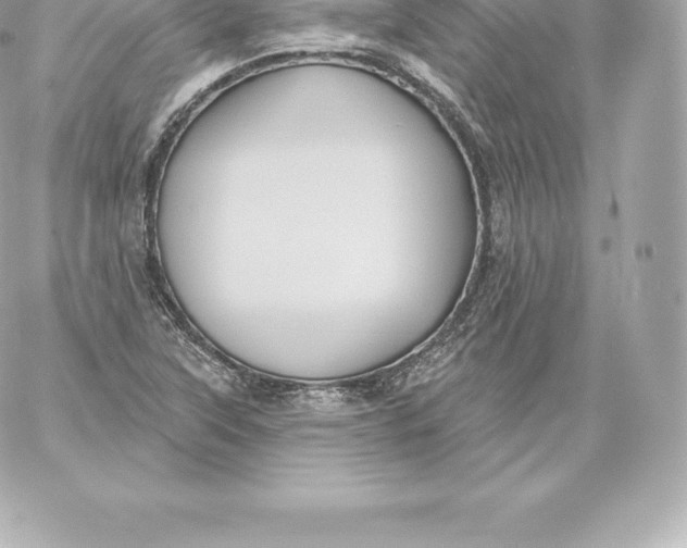 X0000060241315200511111919