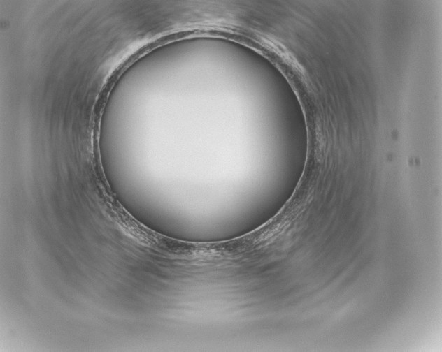 X0000060241316200511111919