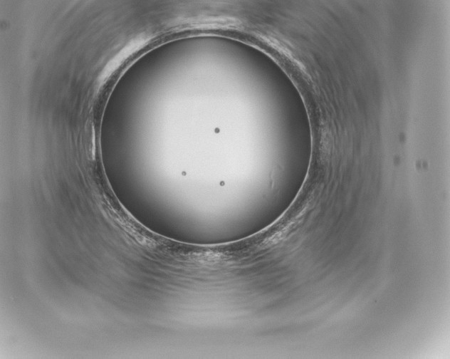 X0000060241317200511111919