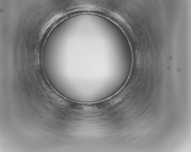 X0000060241318200511111919