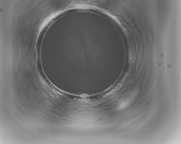 X0000060241319200511111919