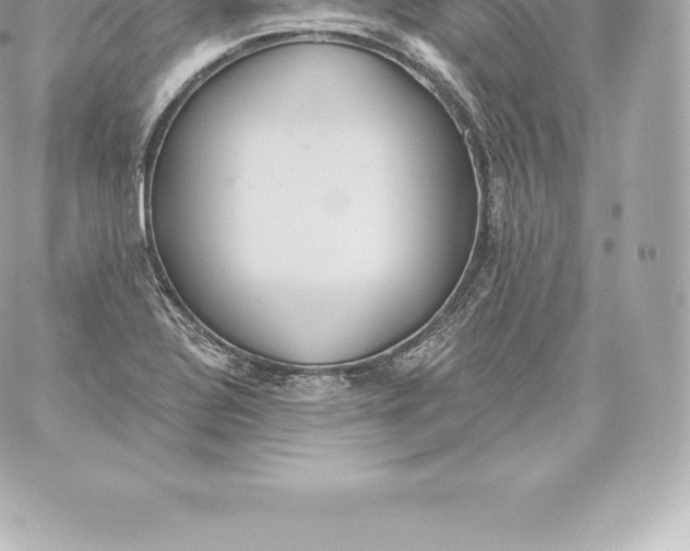 X0000060241320200511111919