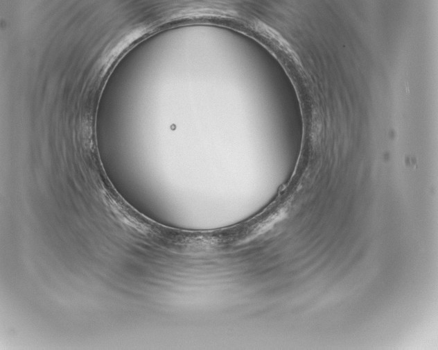 X0000060241321200511111919