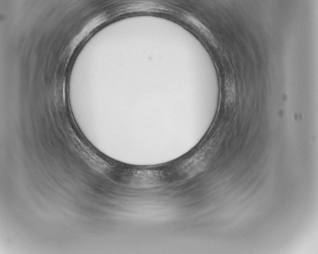 X0000060241322200511111919