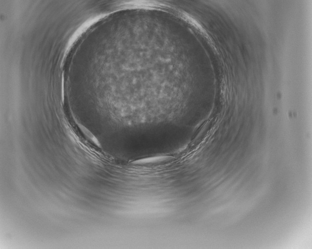 X0000060241323200511111919