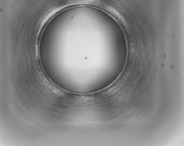 X0000060241324200511111919