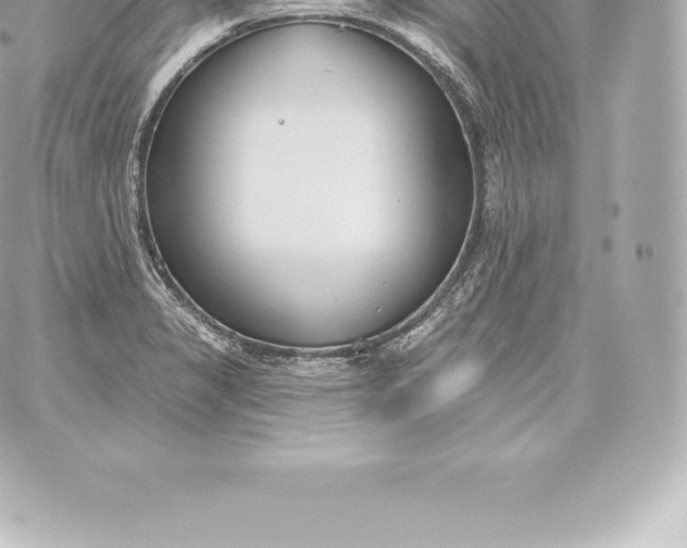 X0000060241325200511111919