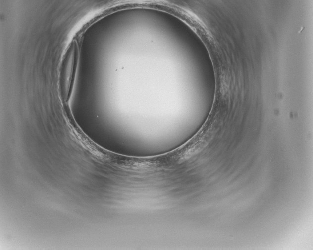 X0000060241326200511111919