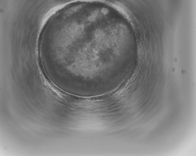 X0000060241327200511111919