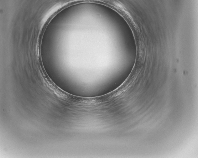 X0000060241328200511111919